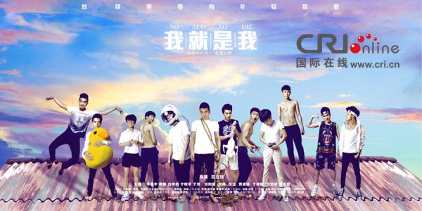 达维斯学院学士毕业证