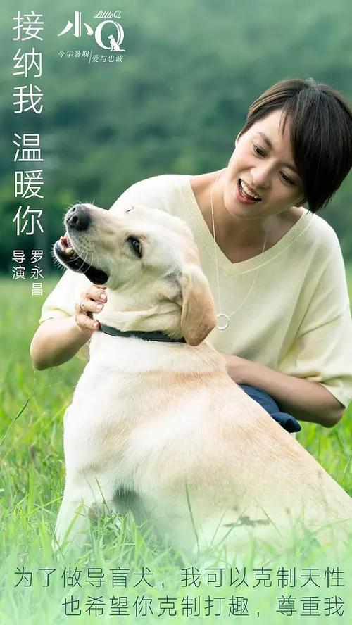 博洛尼亚美术学院graduation certificate